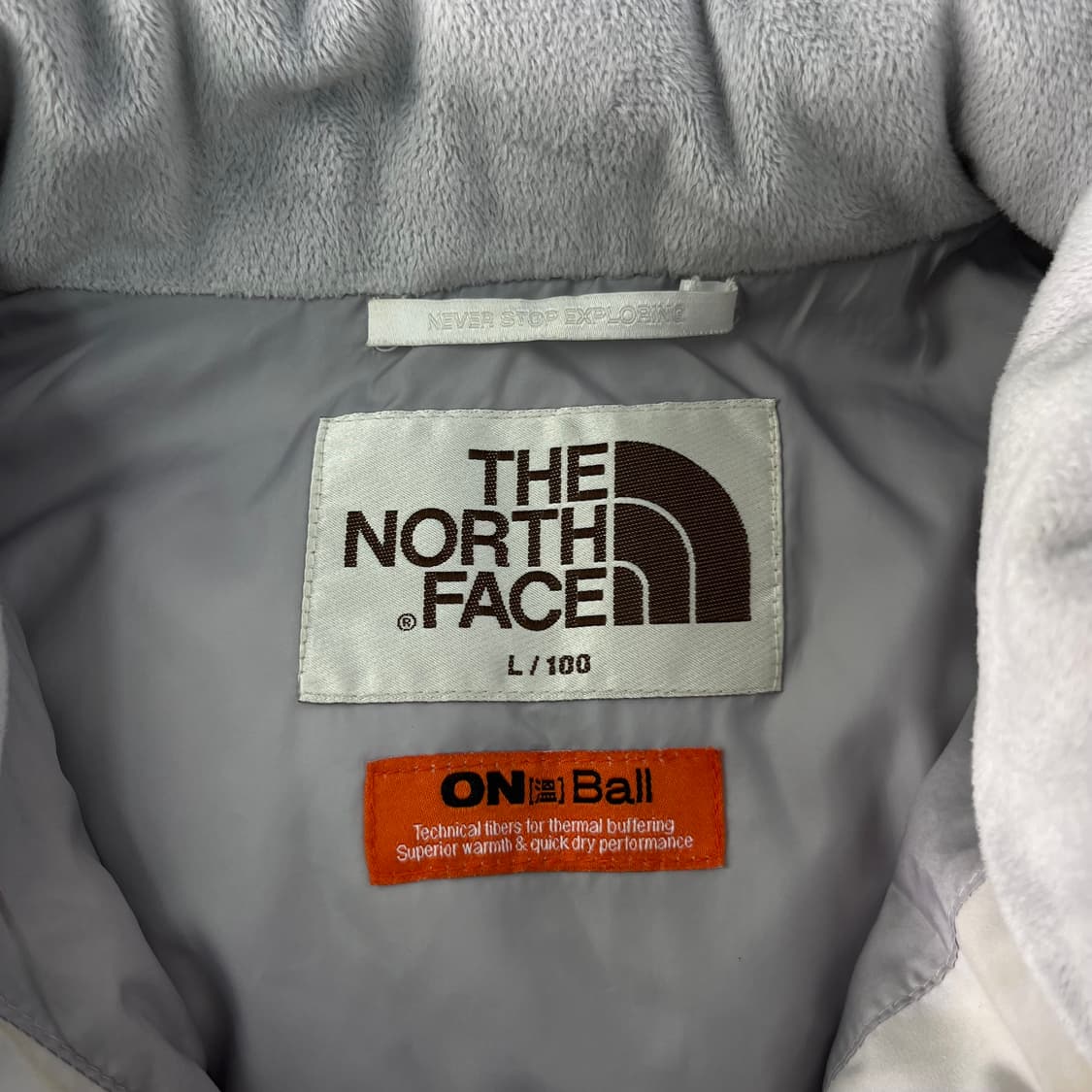 100 노스페이스 에코 구스다운 패딩 상품이미지2