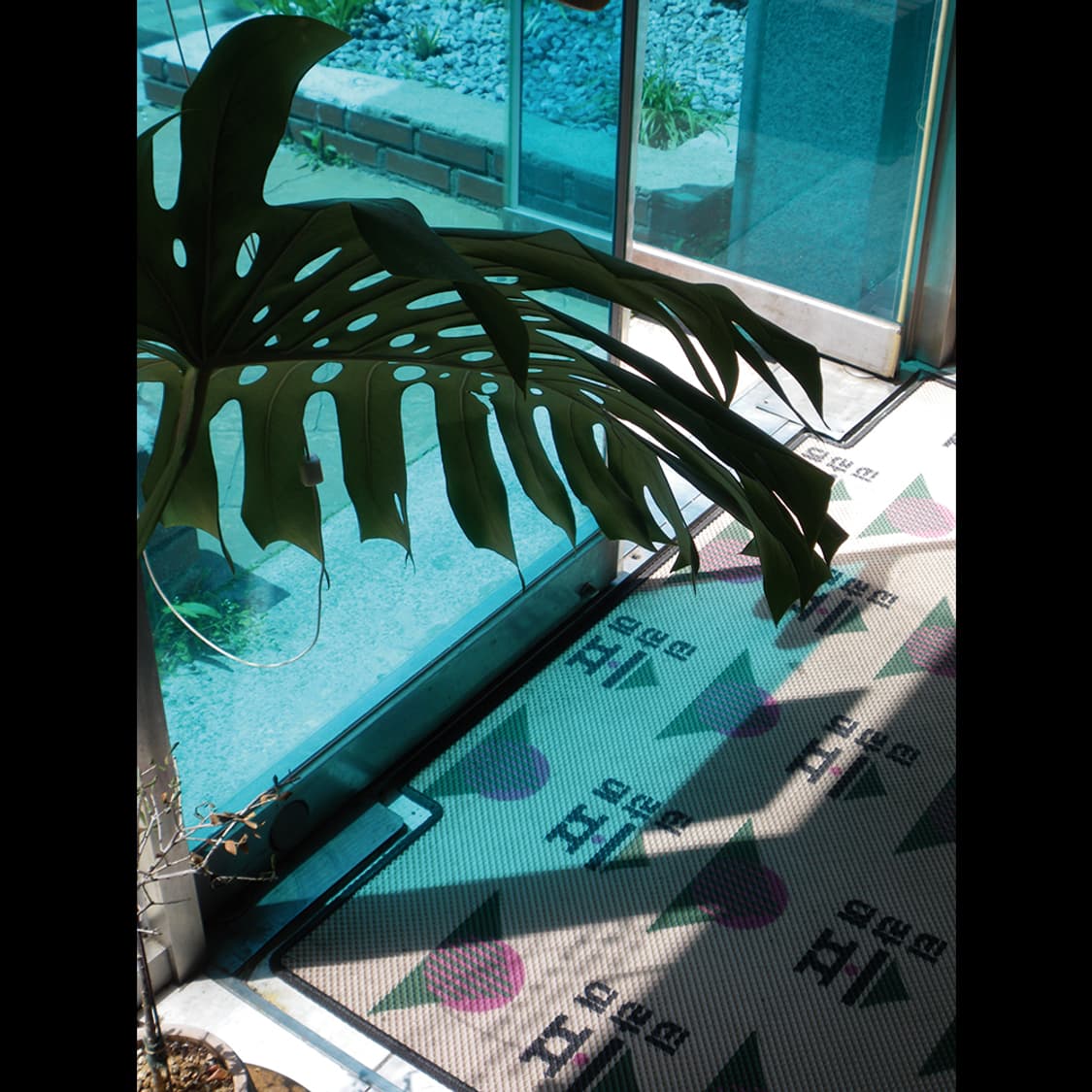 작례⭕️ 펜탁스 Optio 옵티오 M60 클래식 실버✨ 빈티지 디카  상품이미지5