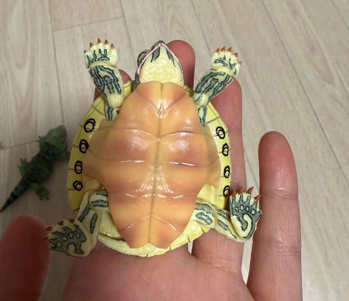 반다이 생물대도감 어드밴스 거북02 붉은귀거북 파스텔 상품이미지3