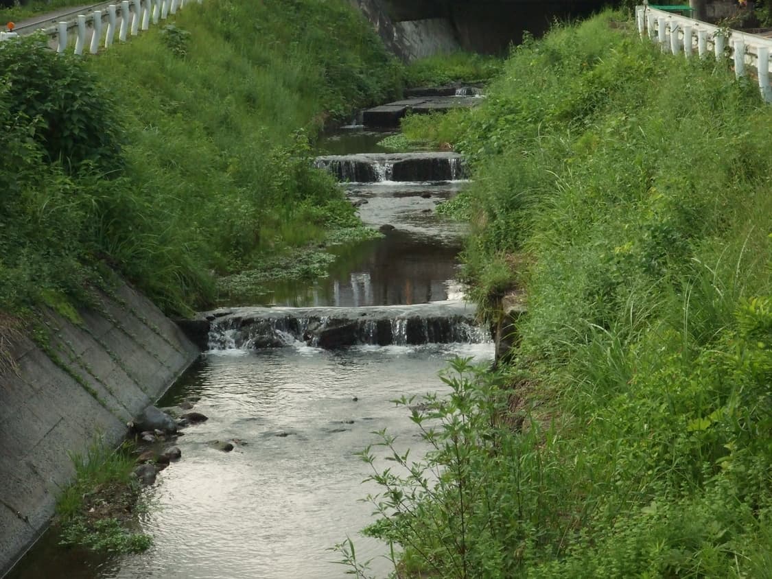 후지필름 파인픽스 z5fd (작례 o, 뉴진스 민지 디카) 상품이미지4