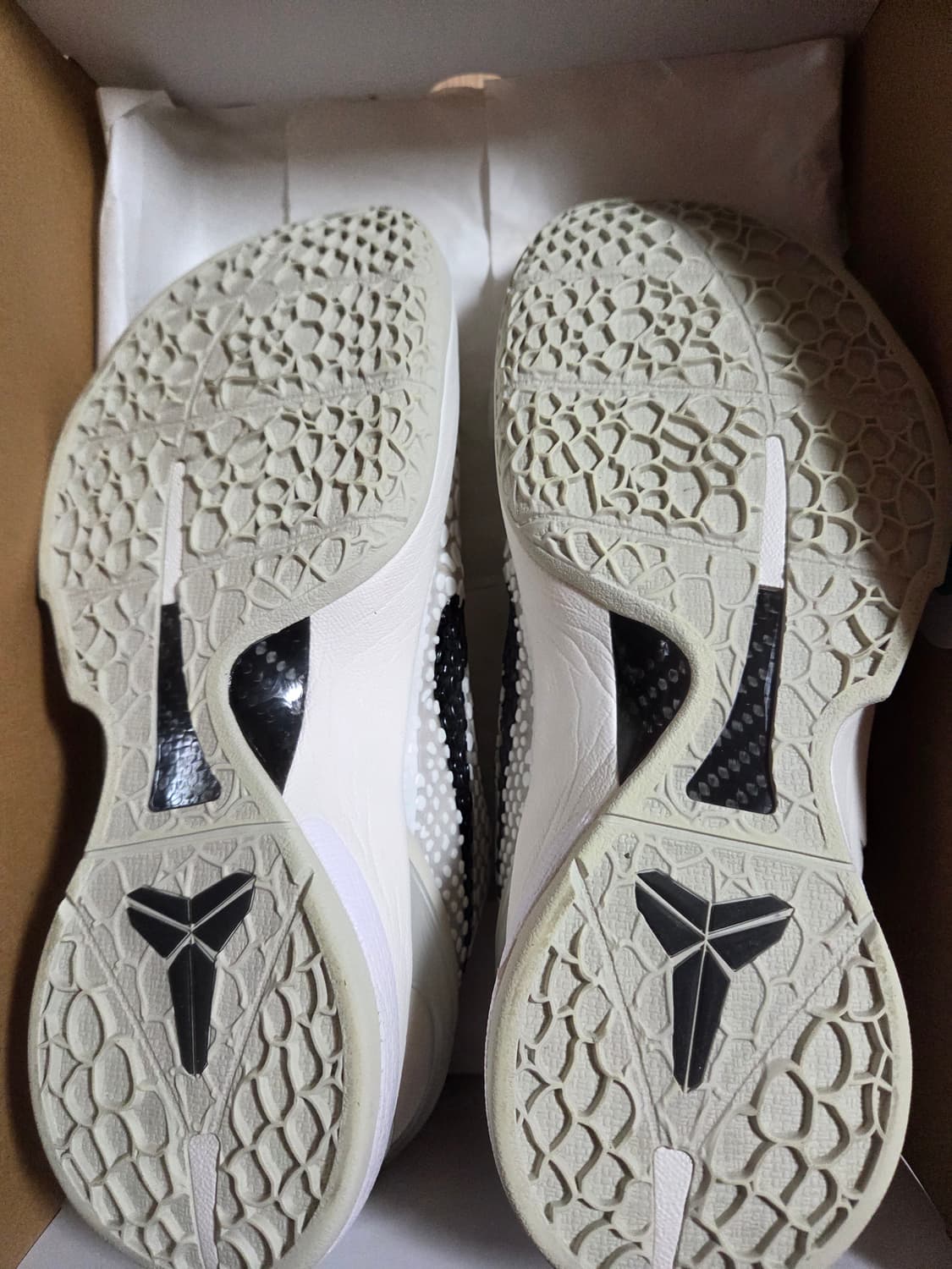 코비 6 (급처 상품이미지1