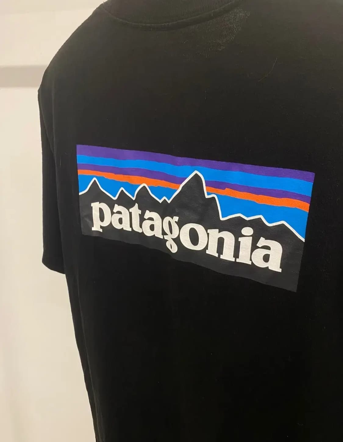 파타고니아 반팔티 L사이즈 상품이미지5