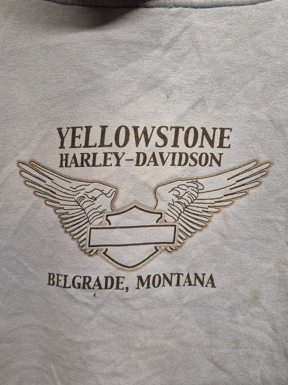 HARLEY DAVIDSON CROP HOODIE  상품이미지5