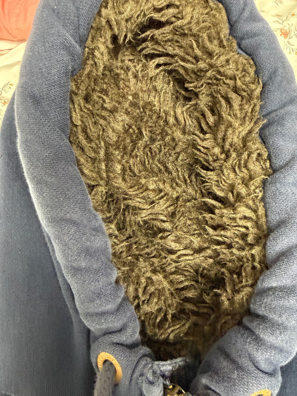 홀리스터 남녀공용  후드 집업입니다  이쁨 구재 상품이미지4