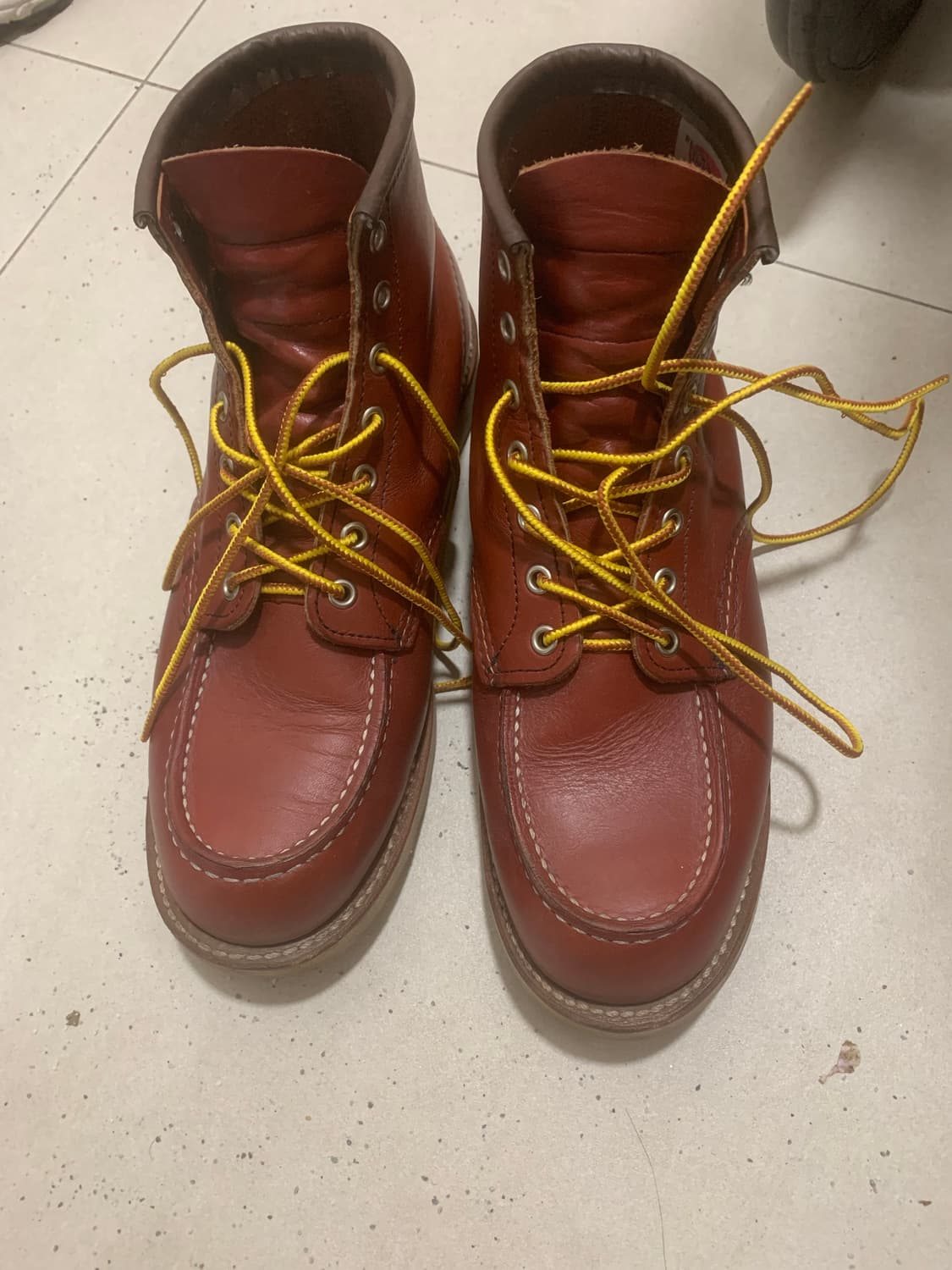 레드윙 8875 9e 아이리쉬세터 상품이미지1