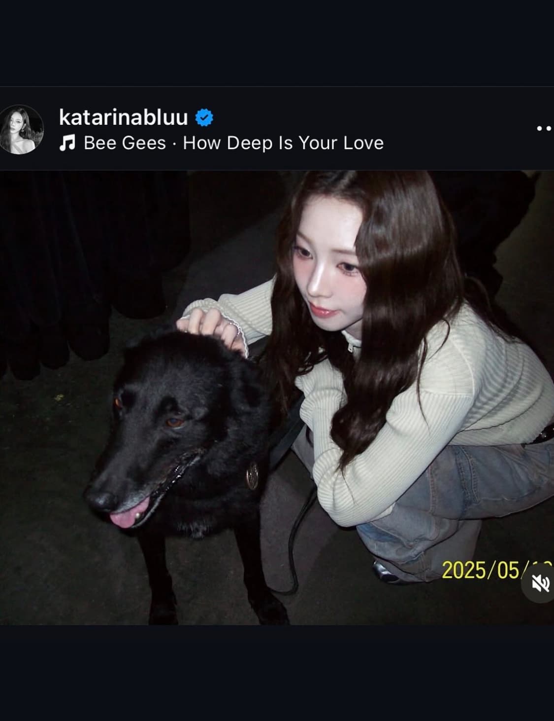 코닥 이지쉐어 c713 디지털카메라 상품이미지8