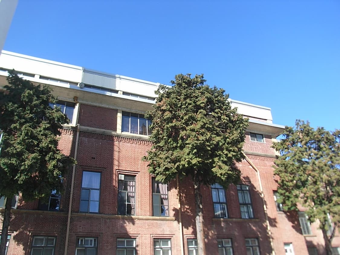 작례O) 리코 카프리오 Ricoh Caplio R5 상품이미지6