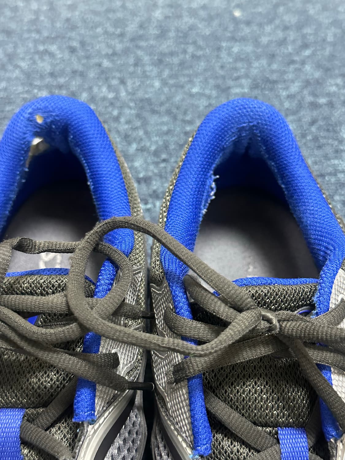 (282.5) 아식스 키코 지엔치아 상품이미지4