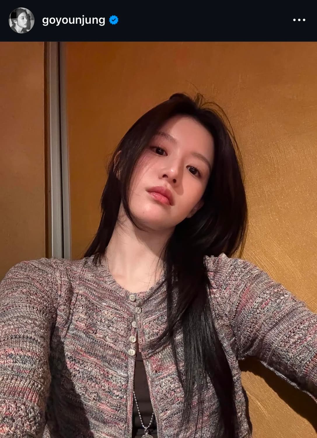 PERVERZE 퍼버즈 pinched seam knit cardigan 상품이미지3