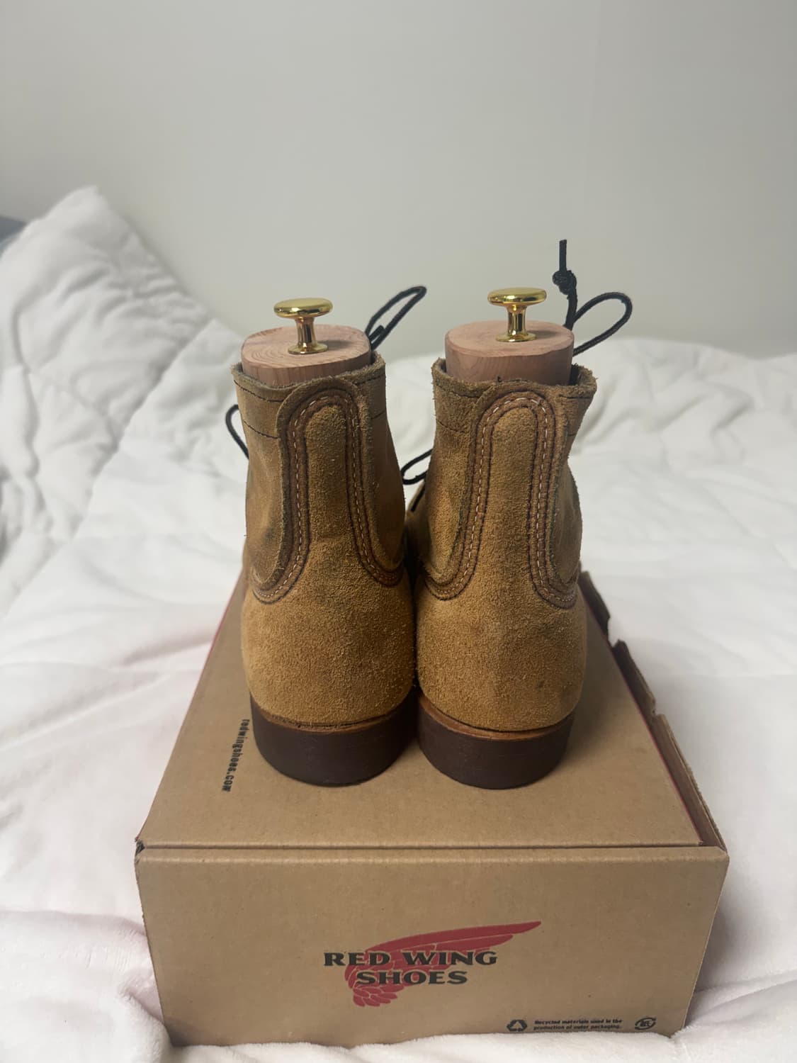 레드윙 8083 8.5 EE 팩토리세컨 상품이미지3