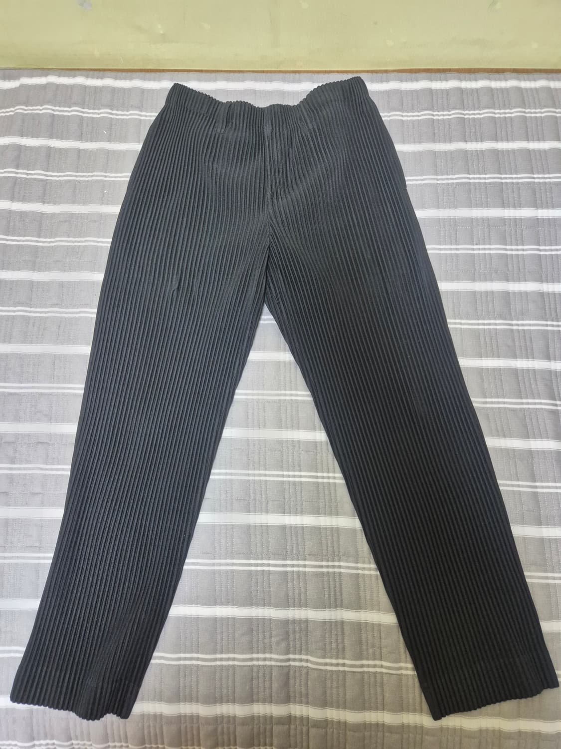 이세이미야케옴므플리세 팬츠(2사이즈) 상품이미지1