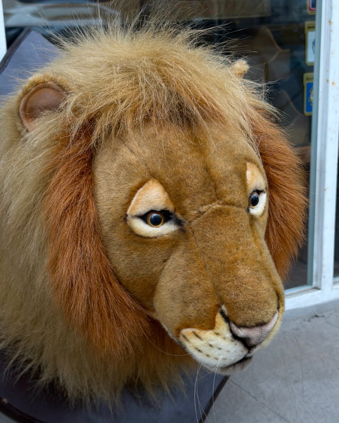 빈티지 소품 한사토이 Lion Head 헌팅트로피 상품이미지3