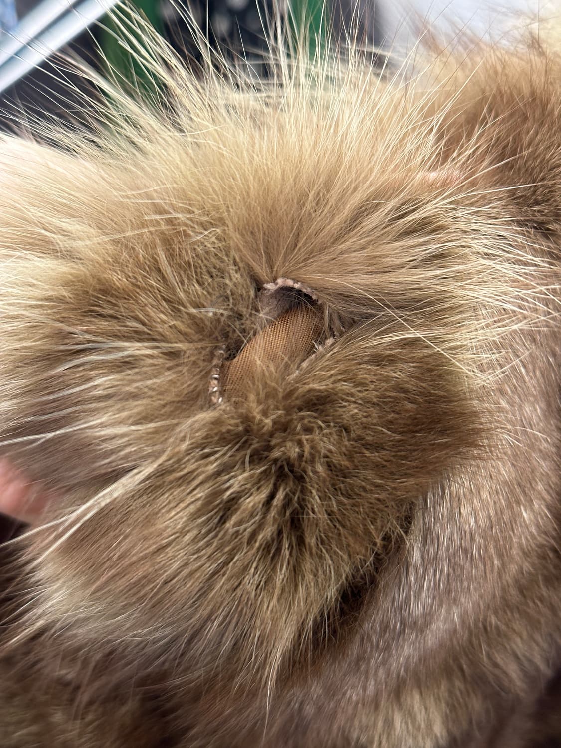 Neck buckle dual fur leather jacket/ 폭스퍼 상품이미지9