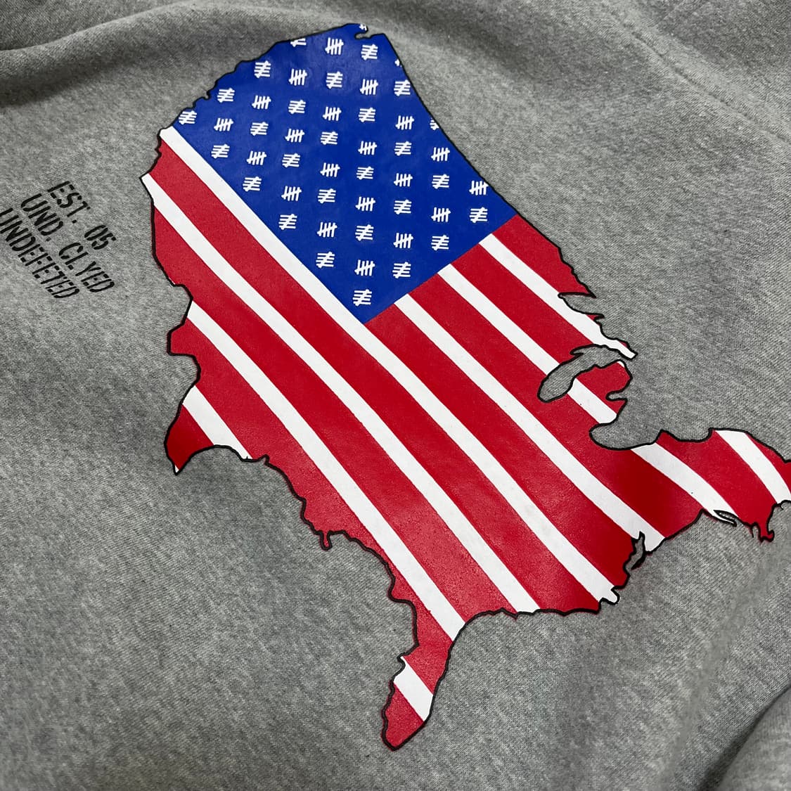 언디피티드 미국 로고 후드티 M/95 상품이미지2