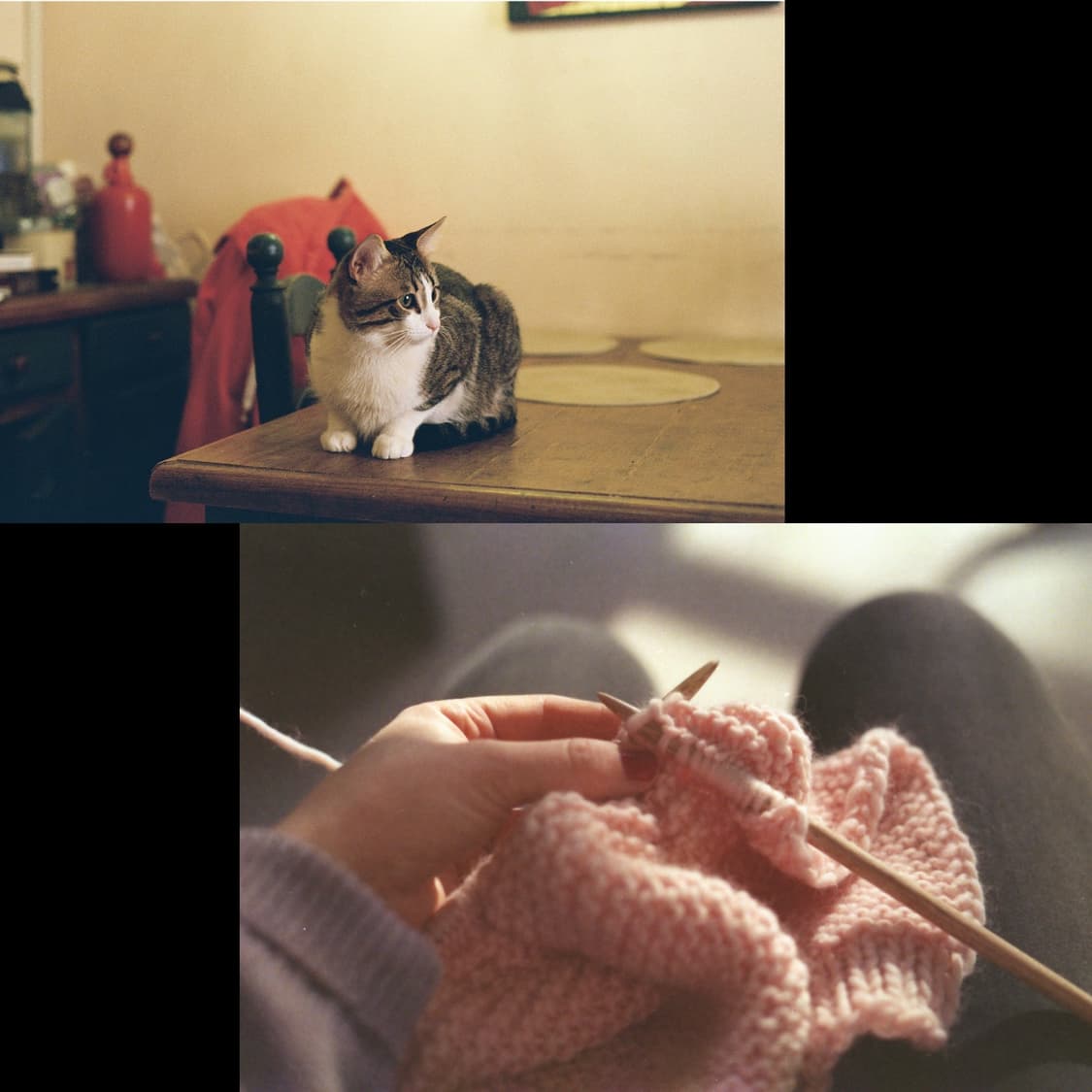 수동필름카메라  펜탁스mx 50mm1.7  상품이미지4