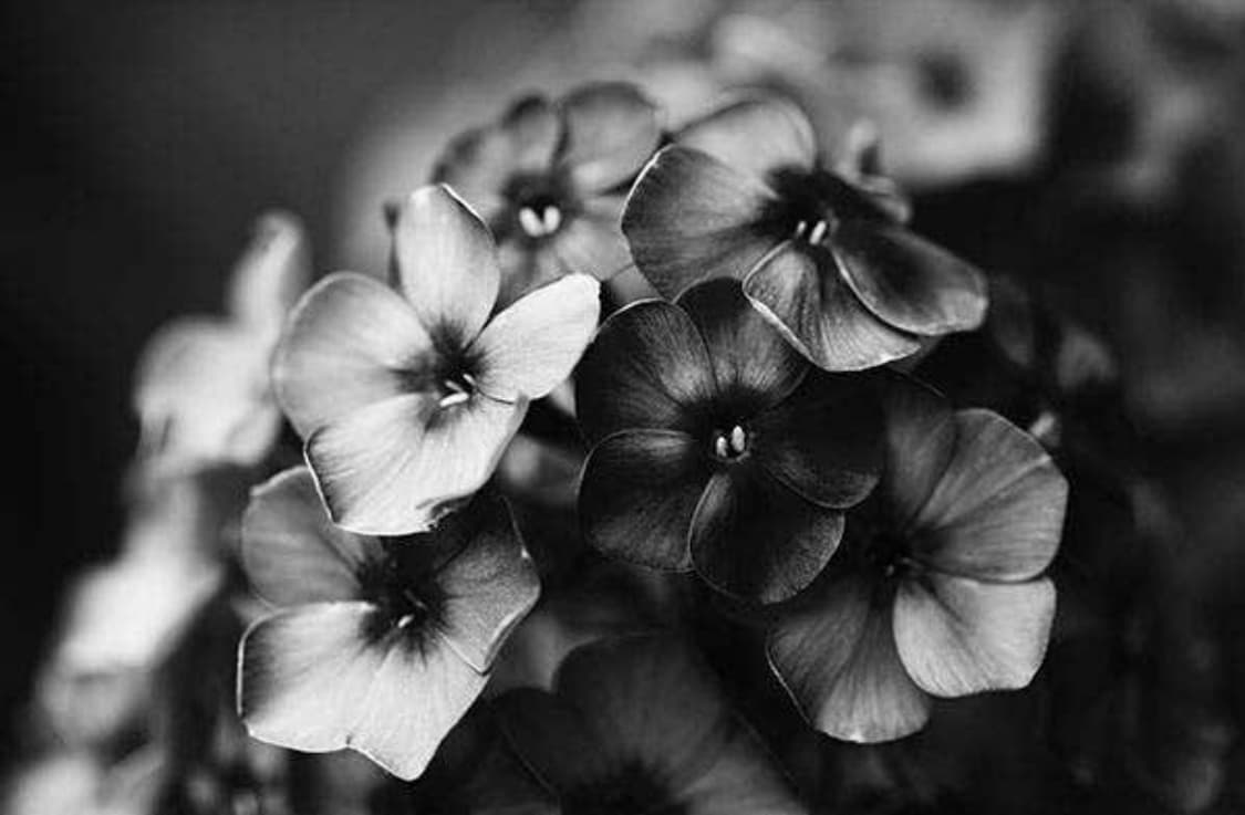 옛날 사진 등 복원 해드릴게요 ^^(ai동영상 포함 복원8초) 상품이미지1