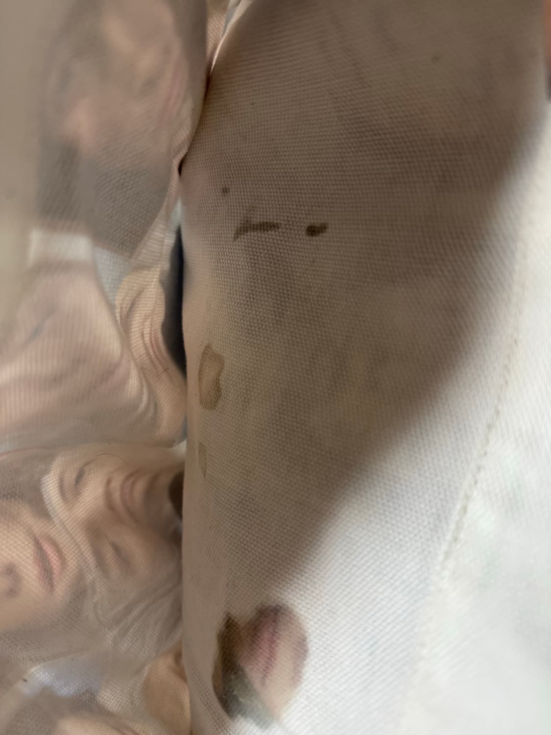 몬트라바일퍼스널 에코백 상품이미지3