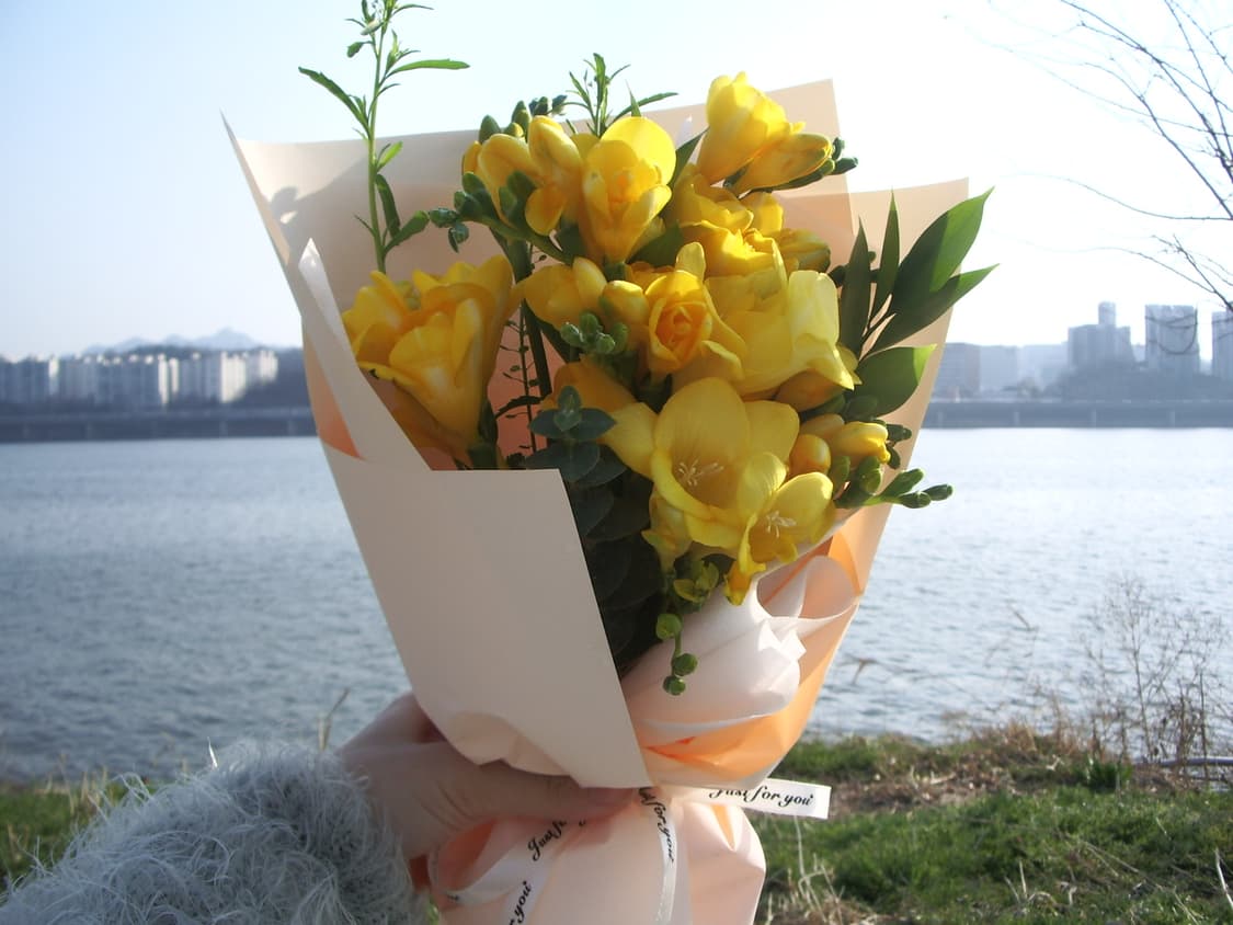 펜탁스 옵티오 s50 (바로 사용 가능) 상품이미지3