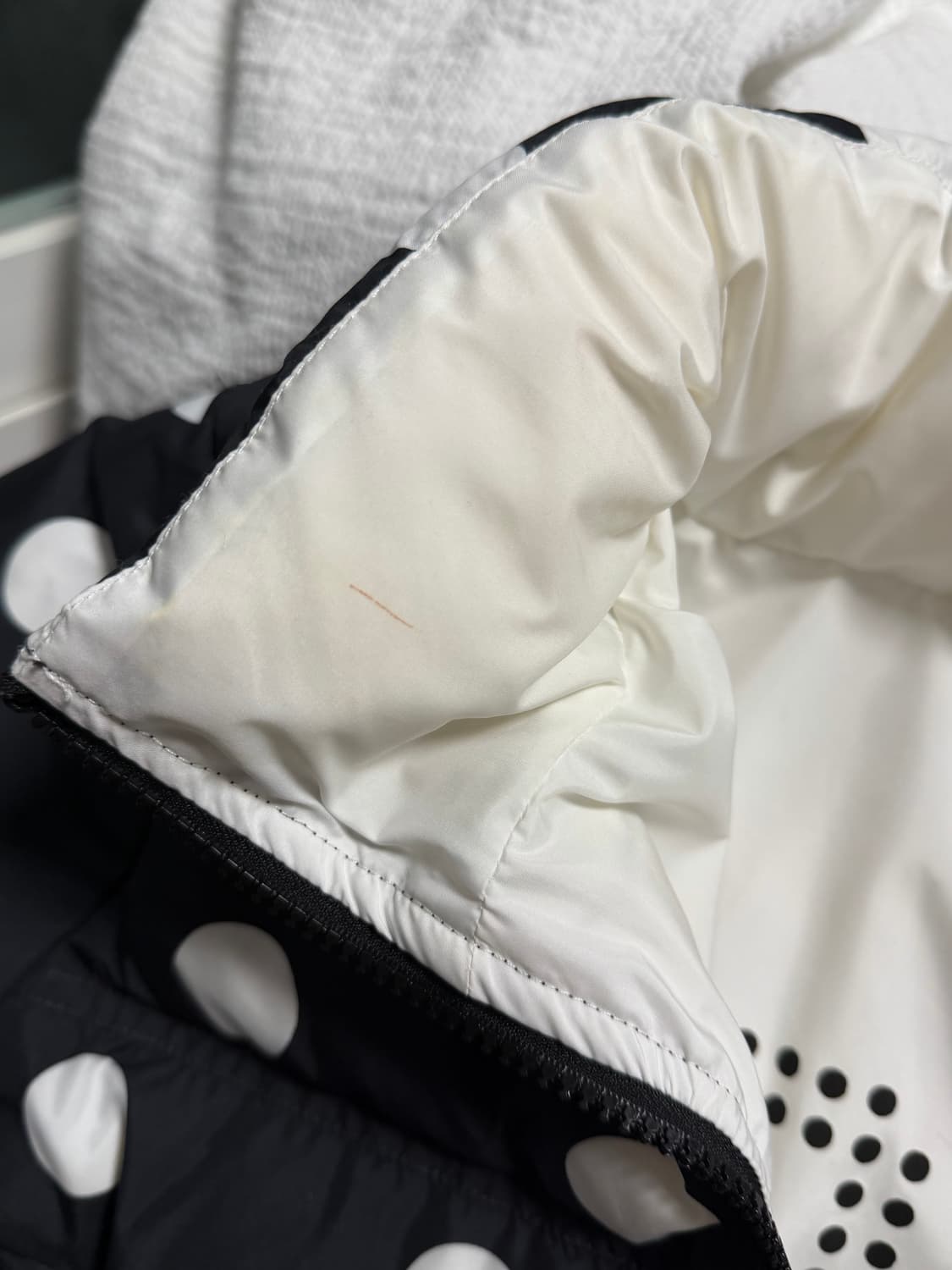 Toh 도트 패딩  상품이미지2