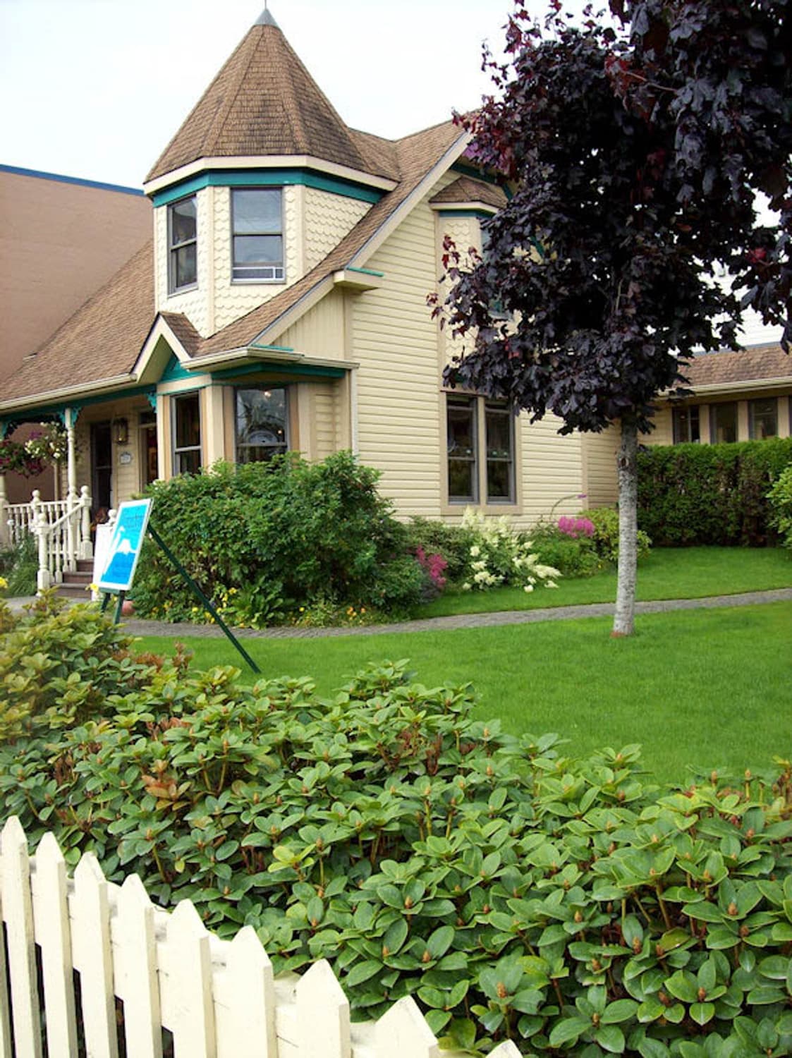 Canon IXUS 170 = IXY 170(캐논 익서스 170) 상품이미지10