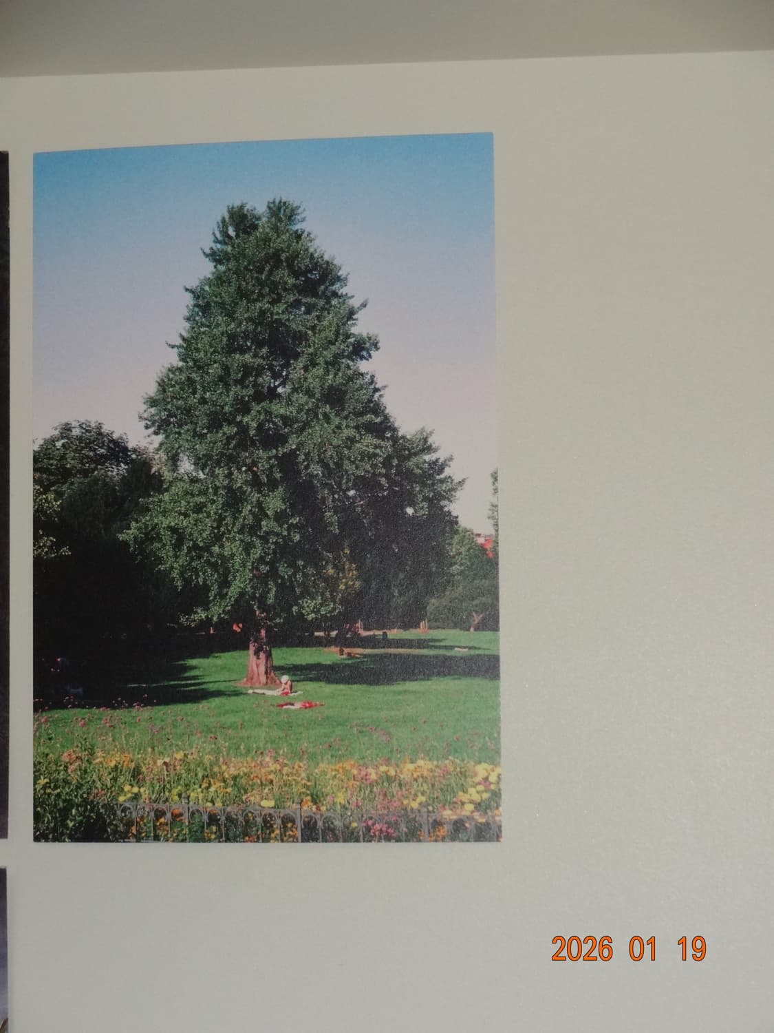 새상품급) 소니 사이버샷 WX200 핑크 / 디지털카메라 빈티지디카 상품이미지10