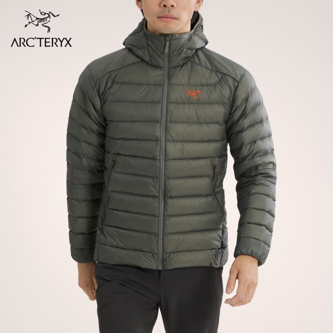 [L] 아크테릭스 세륨 포리지 상품이미지1