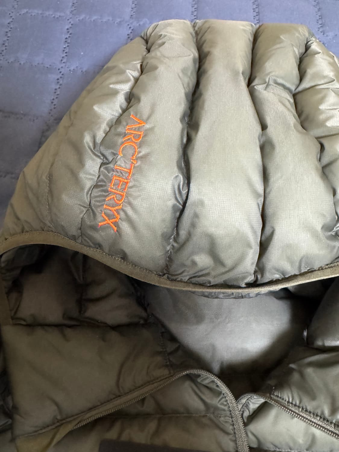 (L)아크테릭스 세륨 포리지 베르베 상품이미지4