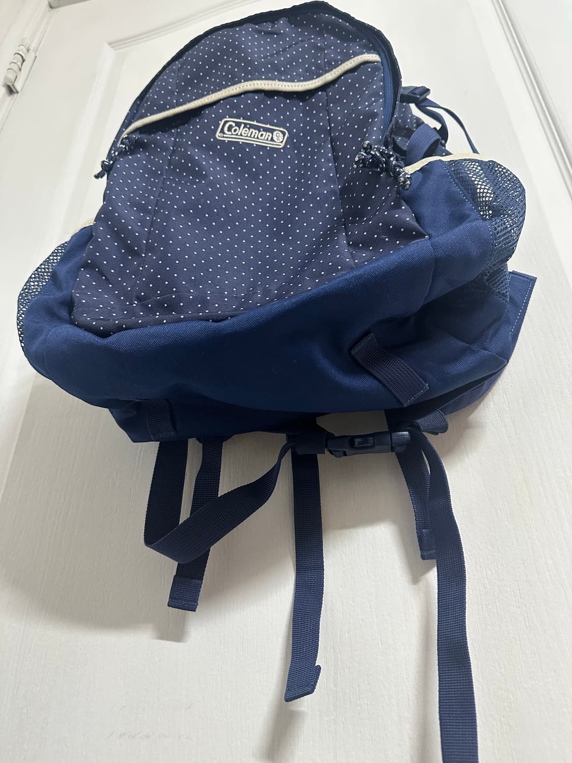 콜맨 도트 백팩 상품이미지5