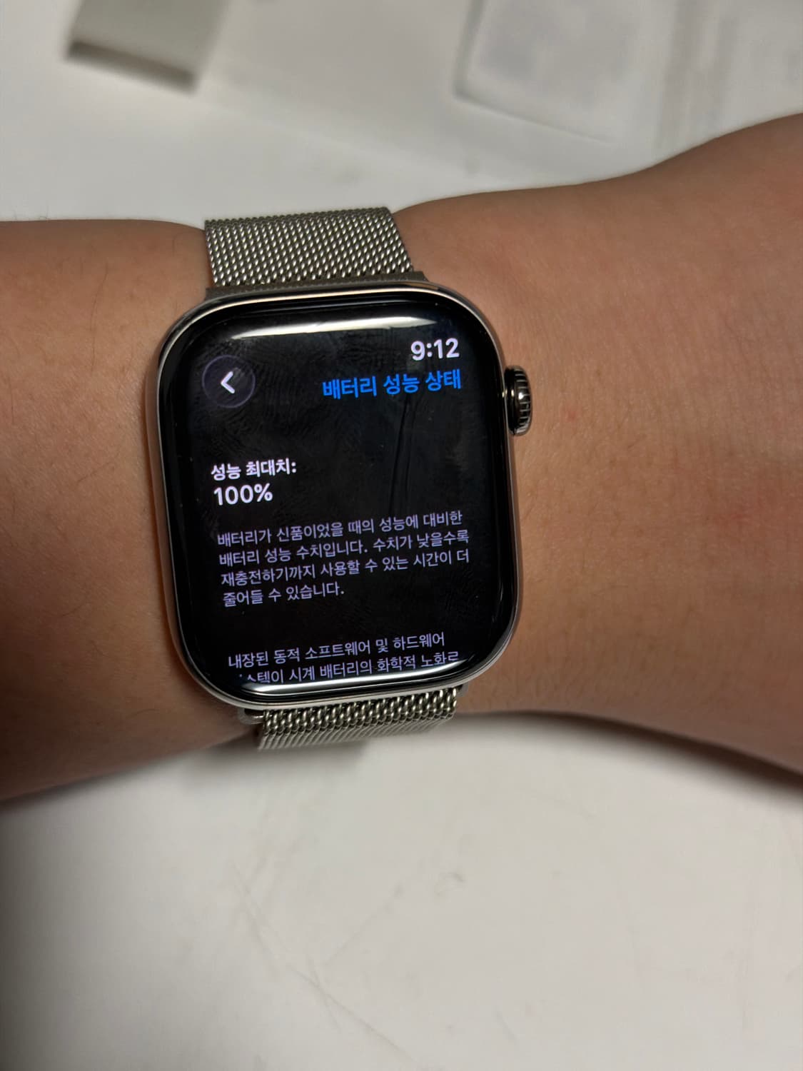 애플워치10 내추럴 티타늄 42mm 애플케어플러스 상품이미지10