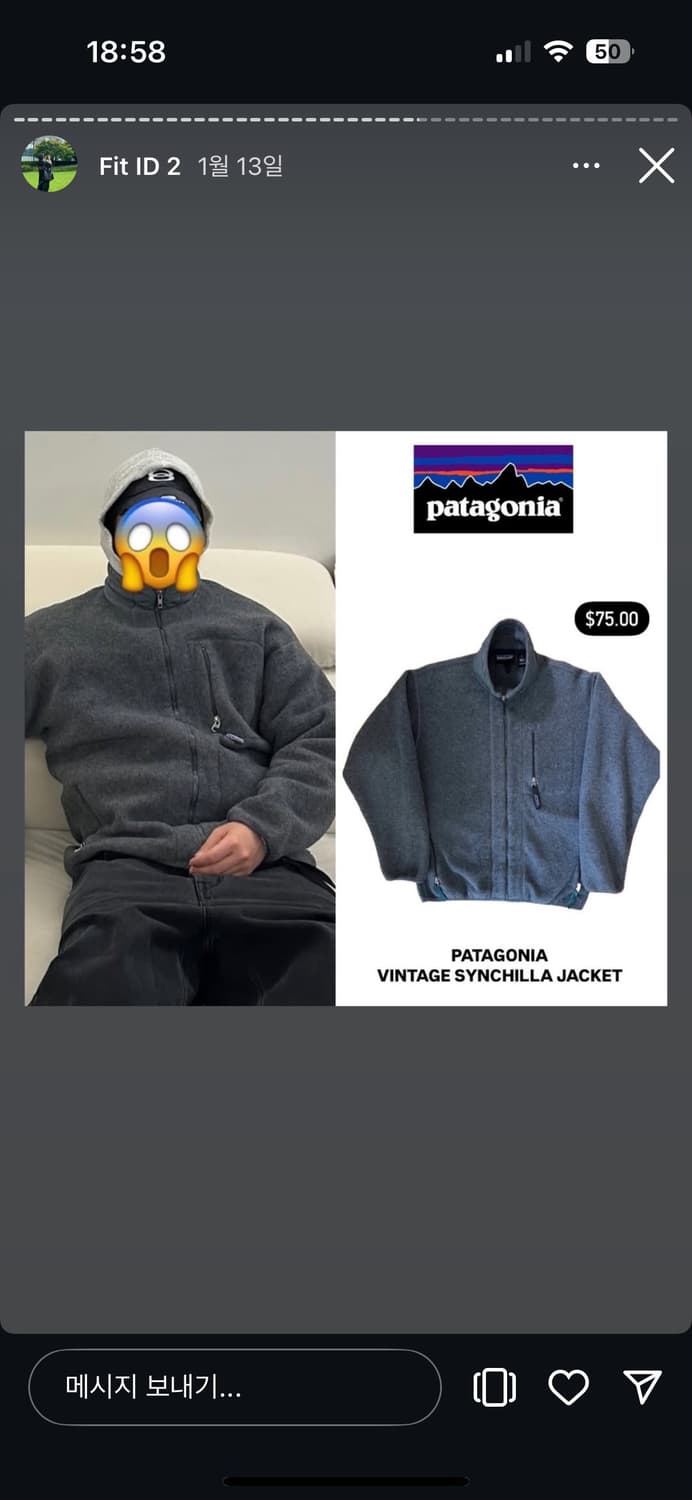 patagonia synchilla 파타고니아 신칠라 상품이미지2