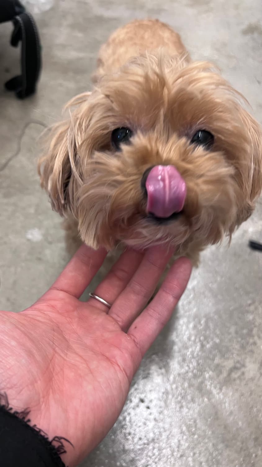 개인결제건 상품이미지1