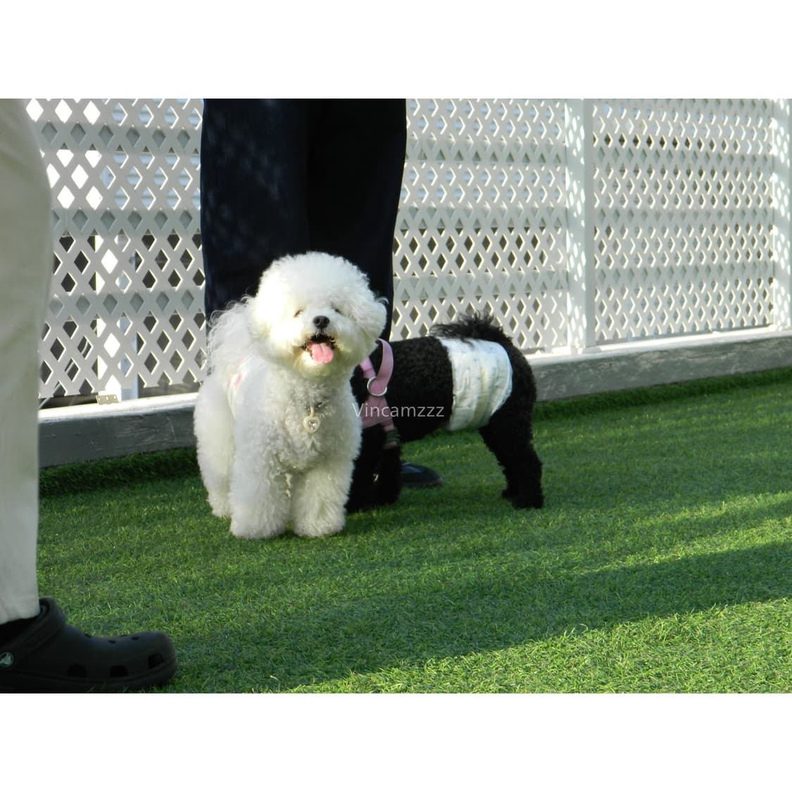 [하이엔드] Nikon 니콘 coolpix 쿨픽스 L120 디지털 카메라 상품이미지6