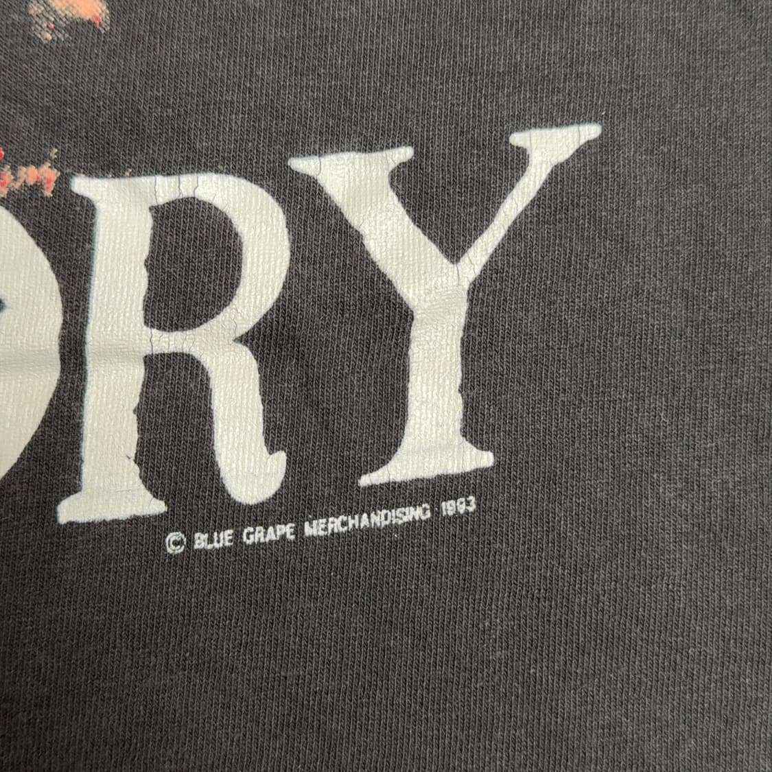1993 Sepultura Territory T-Shirt 상품이미지3