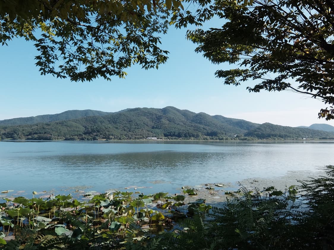 후지필름 xq2 디지털 카메라 디카 블랙 판매 (작례O) 상품이미지7