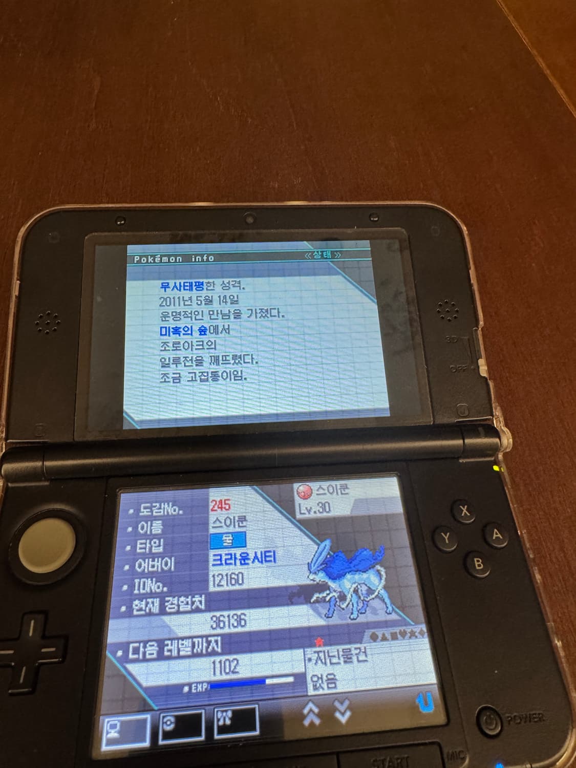 포켓몬스터 블랙 알칩 (배포 전설 포함) 상품이미지4