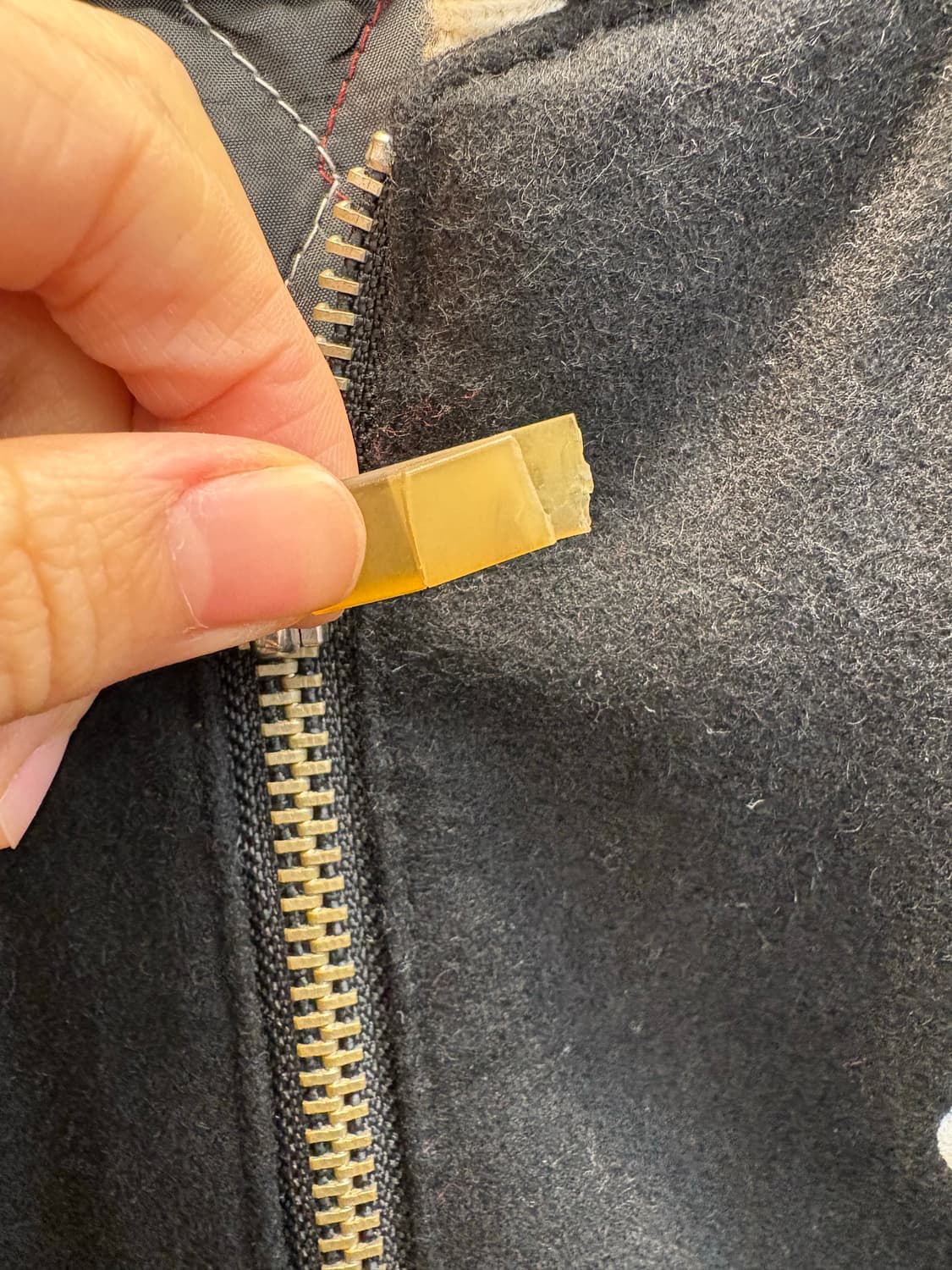 Coogi 바시티  상품이미지5