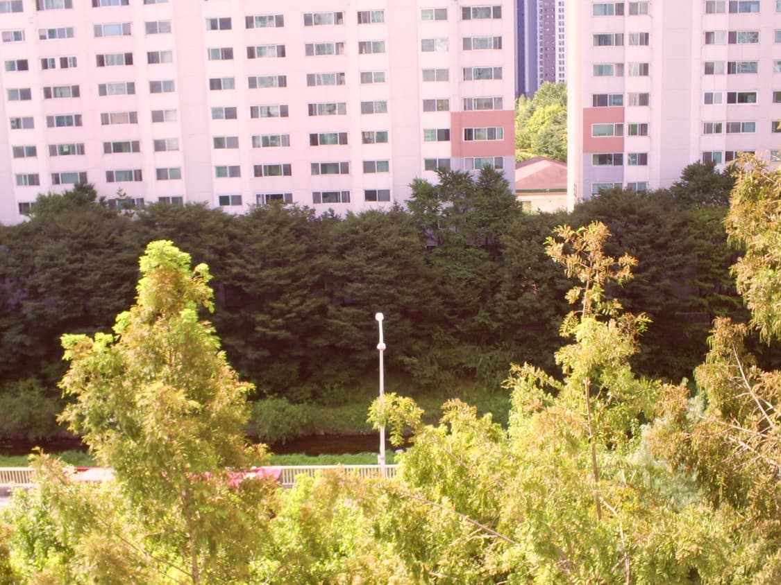 캐녹스 d503디카 상품이미지6