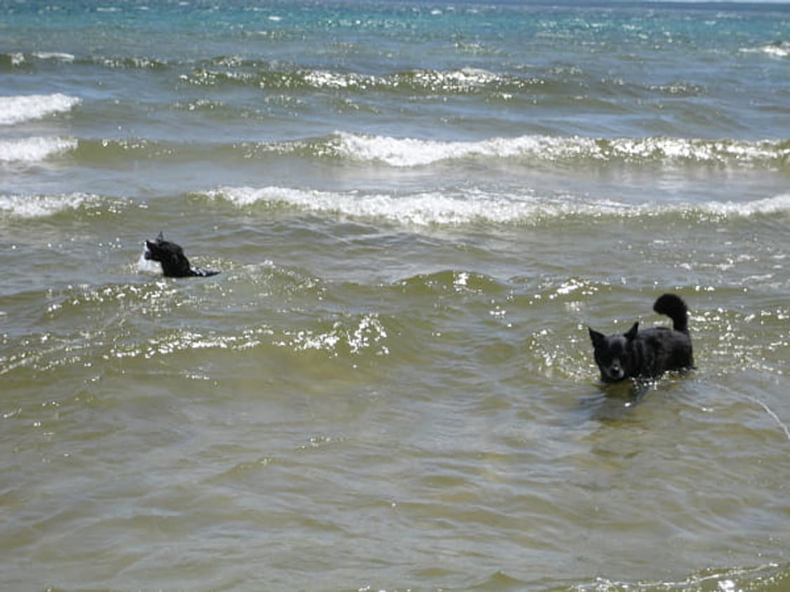 Canon ixus 60 / sd600 / ixy 70 캐논 익서스 디카 상품이미지2