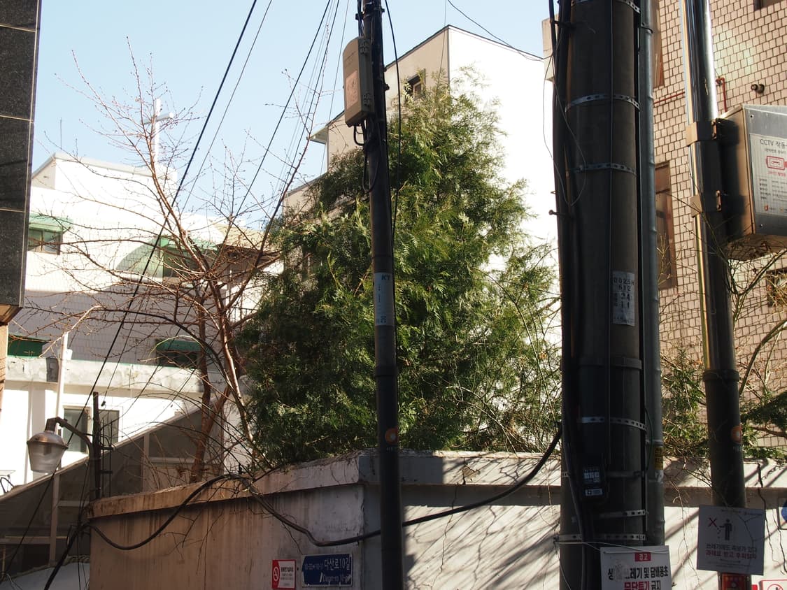 OLYMPUS PEN Lite E-PL3 (여행용 카메라로 강추!!) 상품이미지5