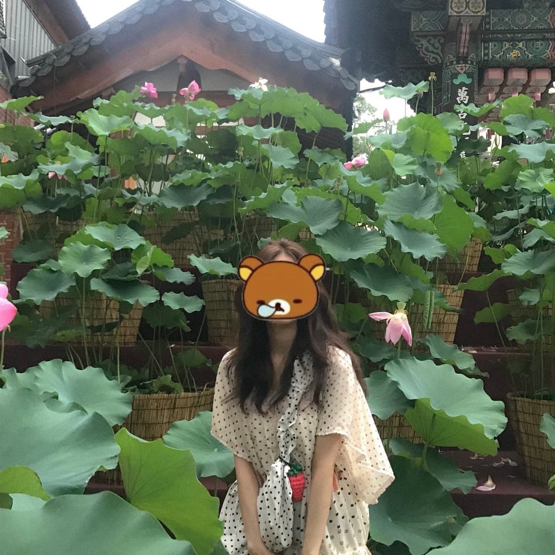 빈티지 도트 반팔 티셔츠 고양이 아일릿 히메갸루 로걀 모리걸 페어리 상품이미지2