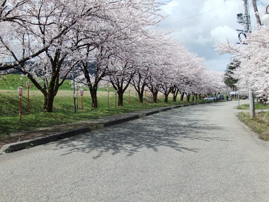 [아일릿 원희 디카] 후지필름 파인픽스 F70 EXR FINEPIX 상품이미지9