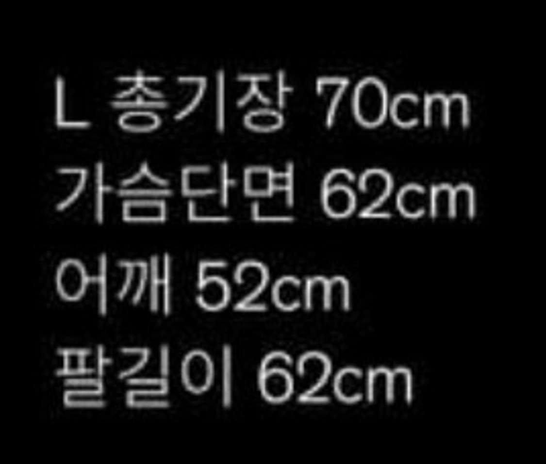 블랙아웃 레더 마원 ma-1 L사이즈 상품이미지4