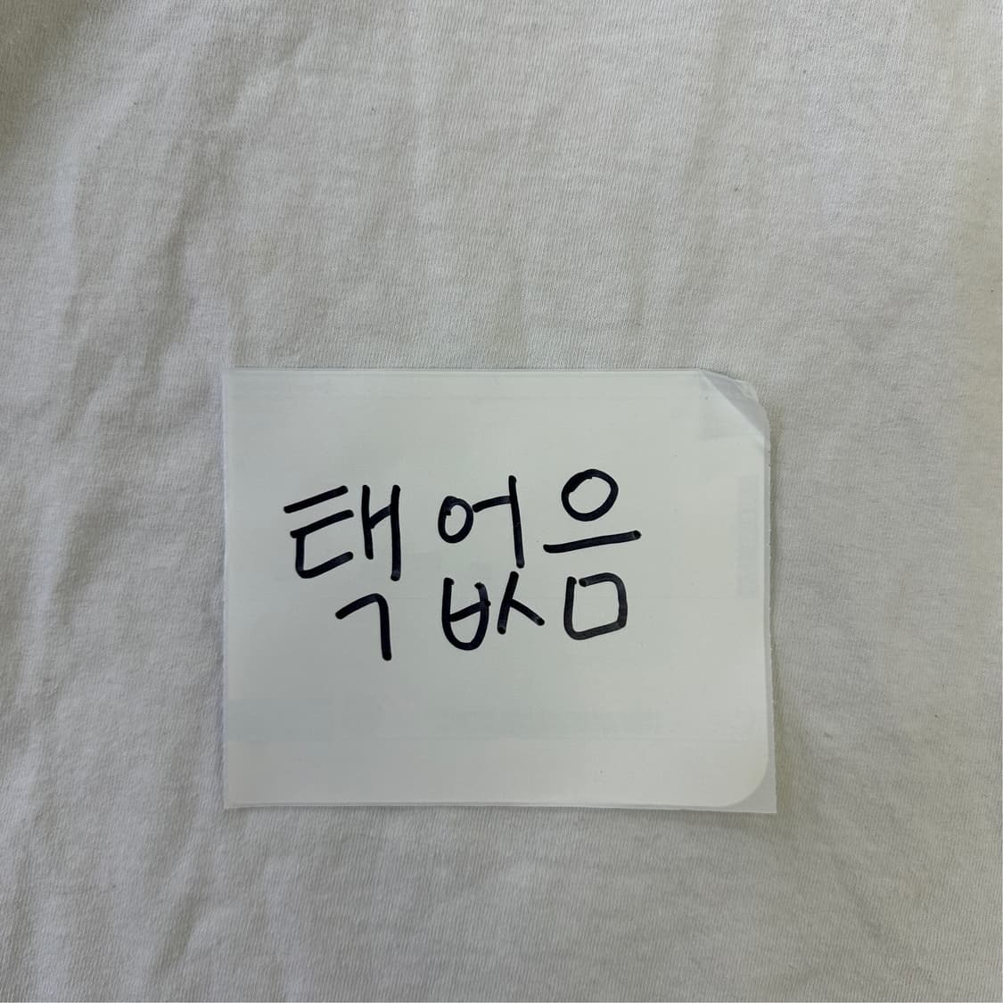 M 챔피언 래글런 롱슬리브 0324D 상품이미지3