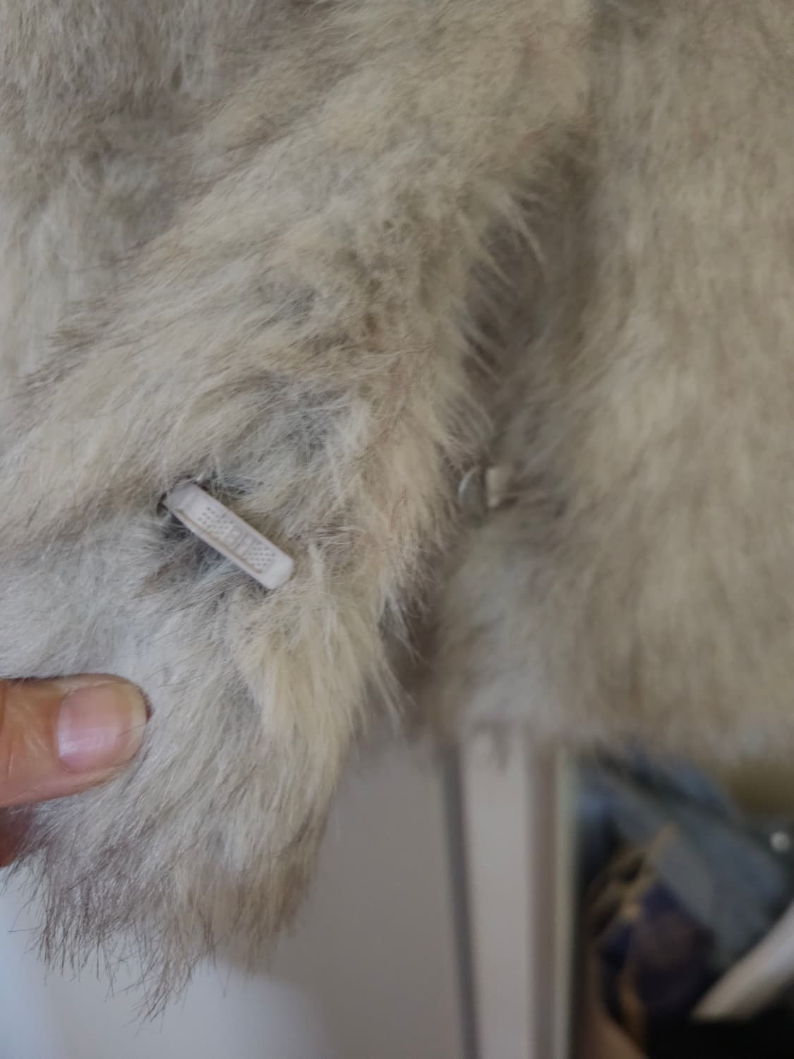 에코퍼 자켓 상품이미지4