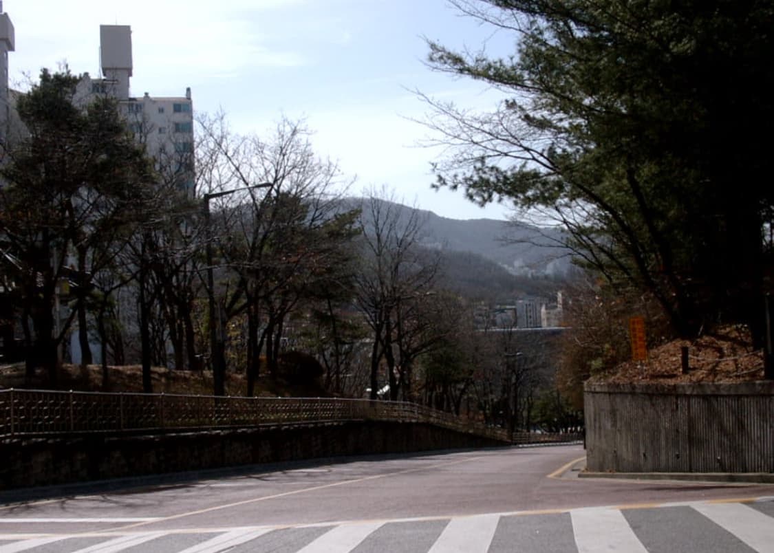 삼성 케녹스 디지맥스 220 디카 (빈티지 카메라) 상품이미지6