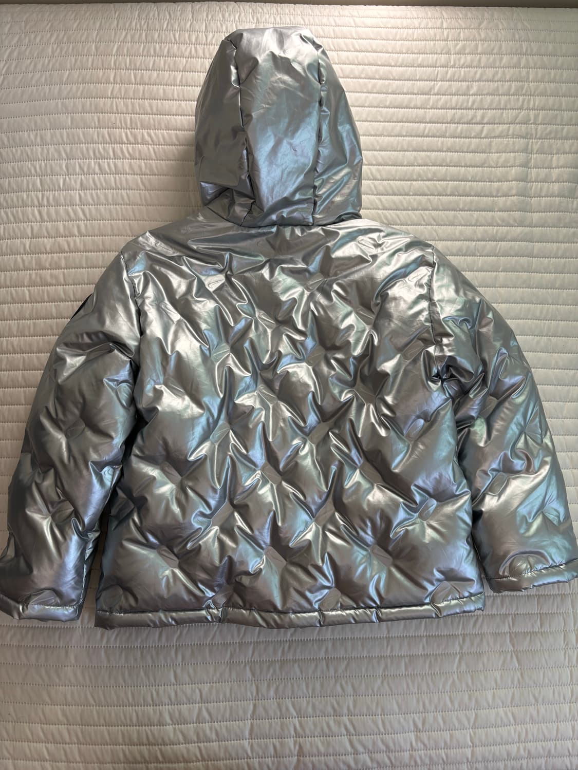 나이키 무광 실버 덕다운 패딩 상품이미지2