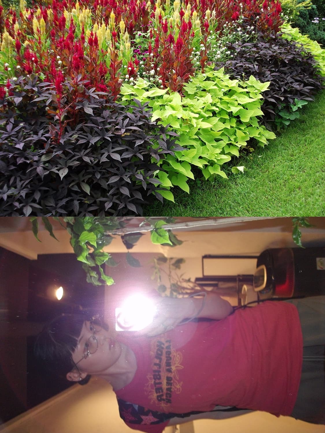 ☃️ 후지필름 파인픽스 J30 ☃️ 빈티지 디카 상품이미지9