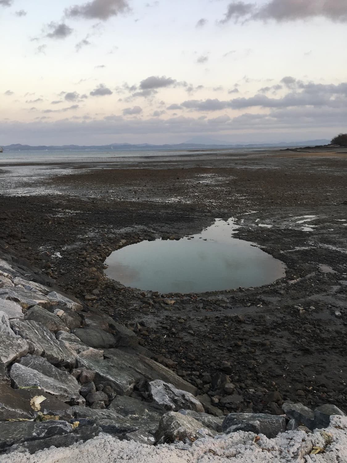 아이폰 5c 블루 16기가 상품이미지8