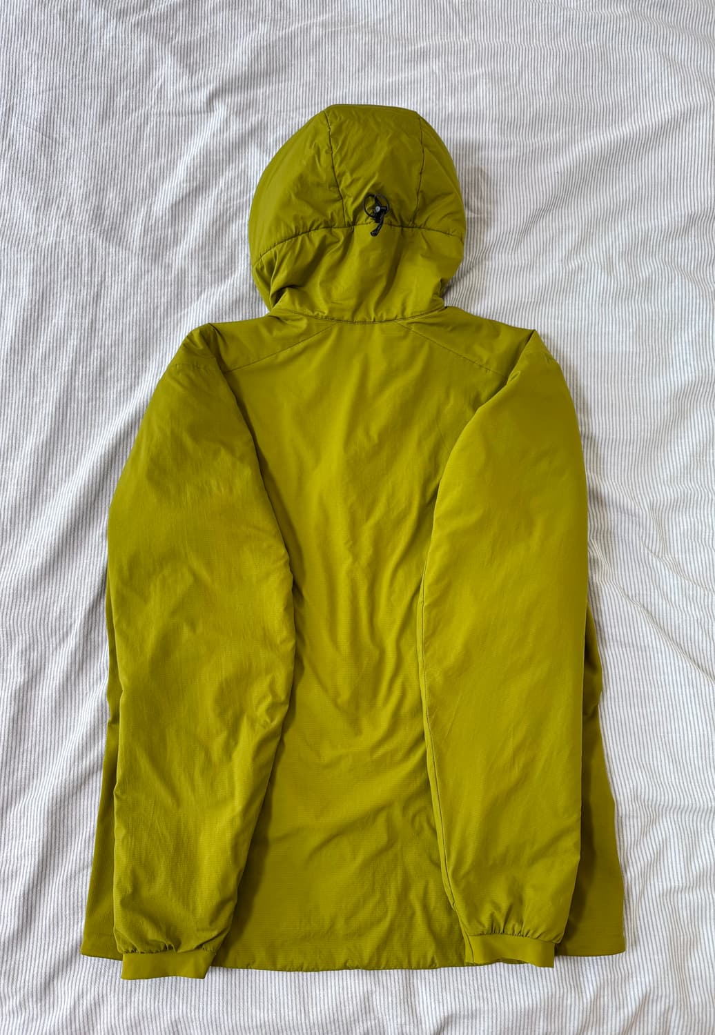 아크테릭스 아톰 LT 후디 엘리트론 상품이미지4