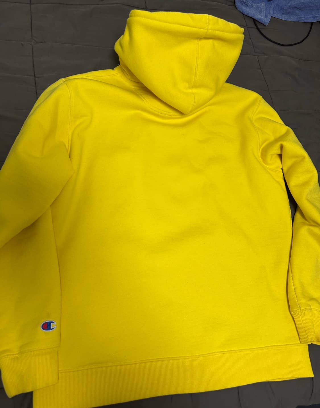 Supreme / Champion® Label Hooded 후드 (L) 상품이미지6